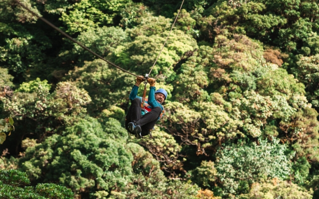 Canopy