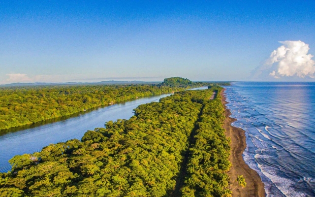 Tortuguero