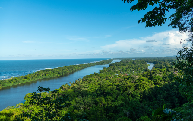 Cerro Tortuguero