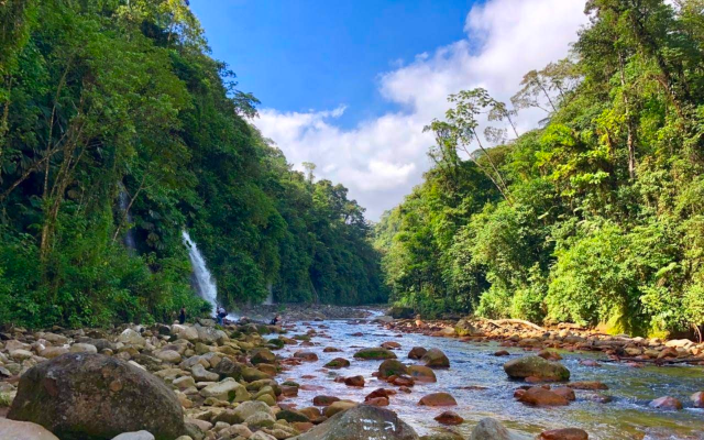 Paraiso Manantiales