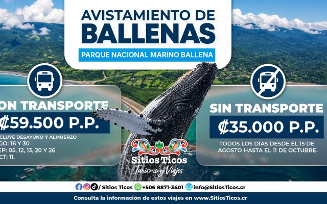 Ballenas