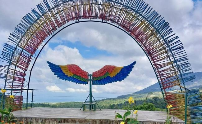 Mirador las alas