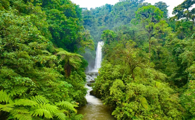 Jardines de la Catarata de la Paz