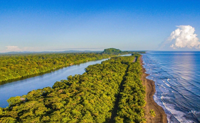 Tortuguero