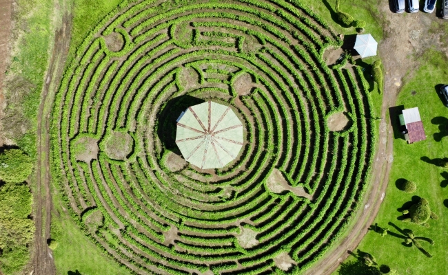 Laberinto Circular