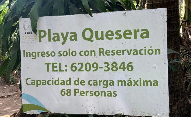 Quesera