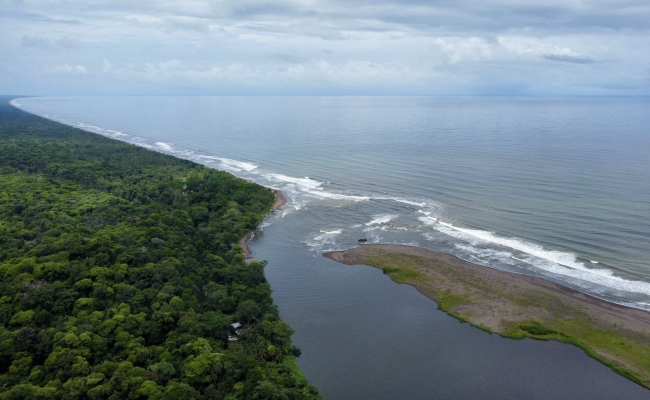 La desembocadura
