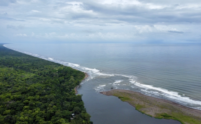 La desembocadura