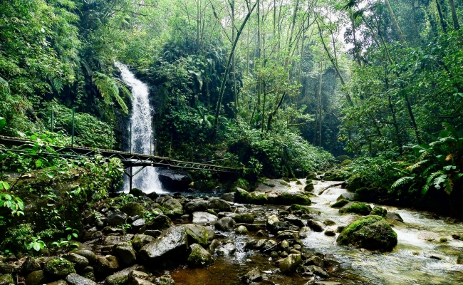 Dos Rios