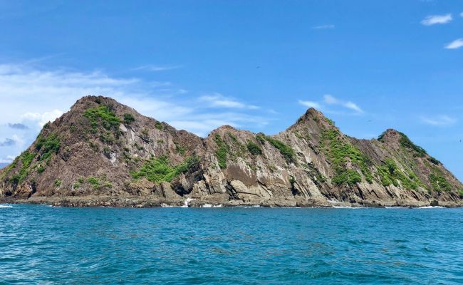 Isla Ballena
