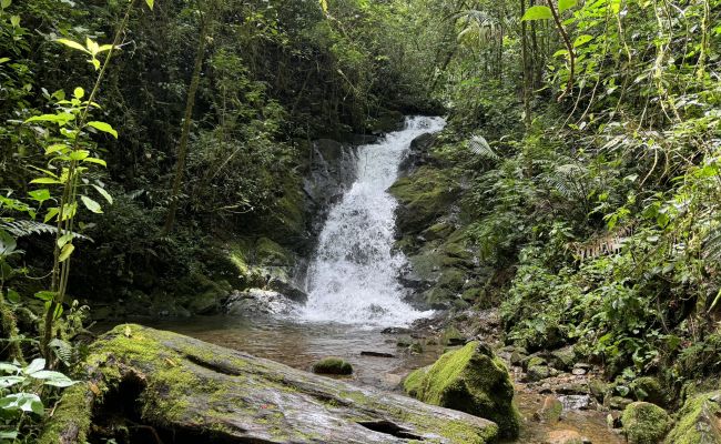 Catarata